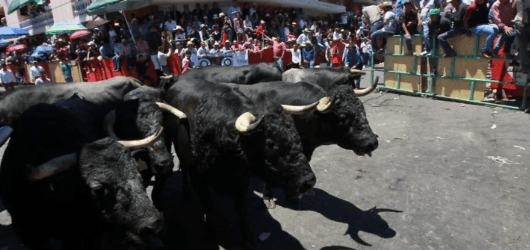Huamantlada 2026: Vive la adrenalina y asegura tu descanso en Hotel Cancalli