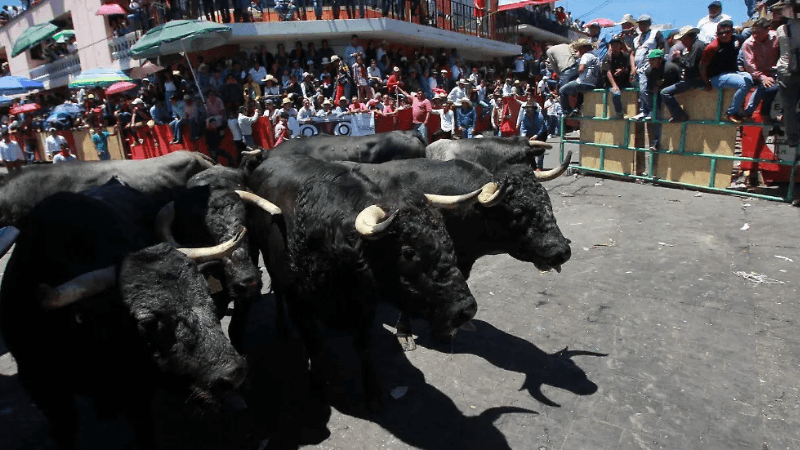 Huamantlada 2026: Vive la adrenalina y asegura tu descanso en Hotel Cancalli