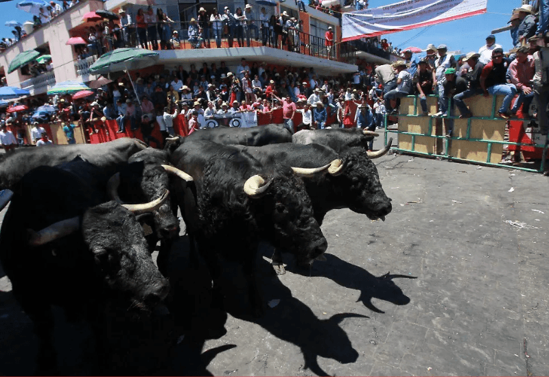 Huamantlada 2026: Vive la adrenalina y asegura tu descanso en Hotel Cancalli
