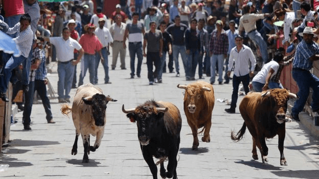 Huamantlada 2026: Vive la adrenalina y asegura tu descanso en Hotel Cancalli